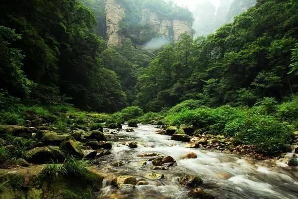 亚洲杯-伊拉克vs越南首发:侯赛因替补,阮廷北出战